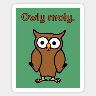 Owly moly - cute & funny owl pun Magnet